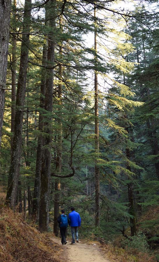 Thikalna Himalayan Retreat Villa Almora Eksteriør bilde